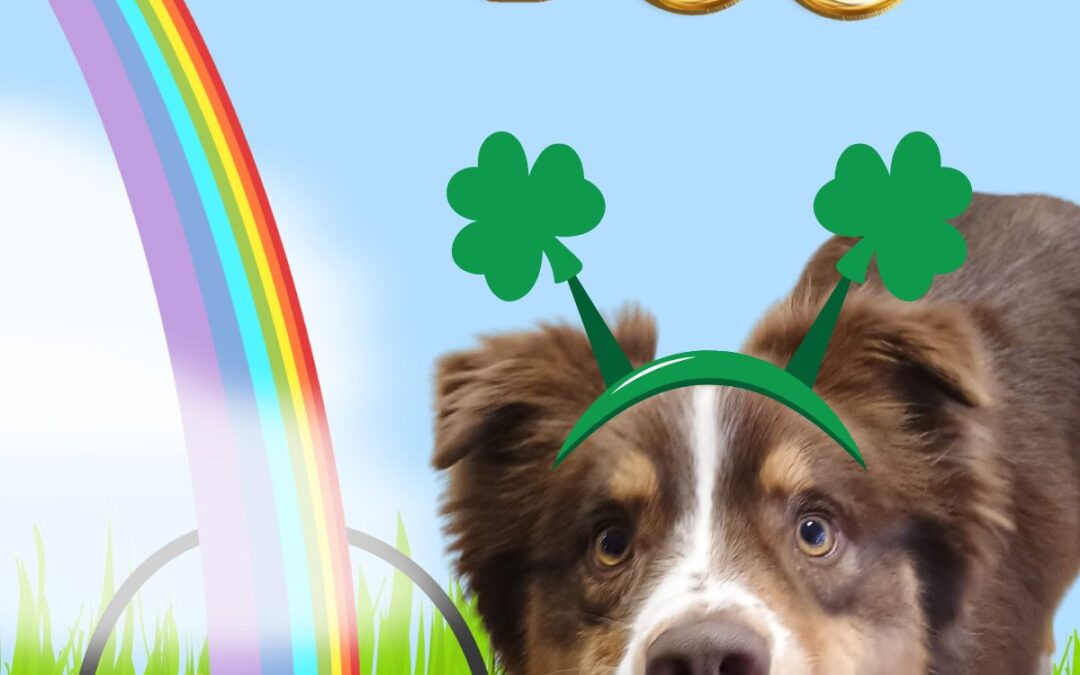 St. Patrick’s Day Pics :)