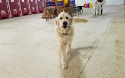 3/2/26 Playtime! :)