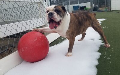 3/6/2026 Playtime!!