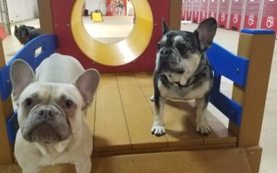 3/7/2026 Playtime!
