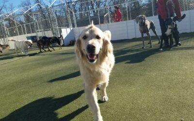 3/9/2026 Playtime!!