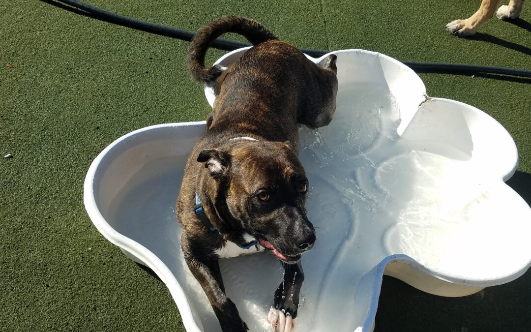 3/10/2026 Playtime!!