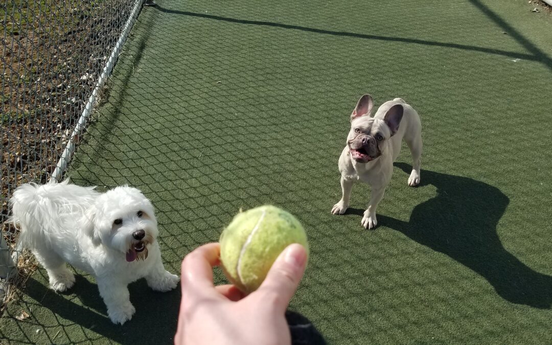 3/11/2026 Playtime!!