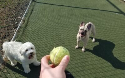 3/11/2026 Playtime!!