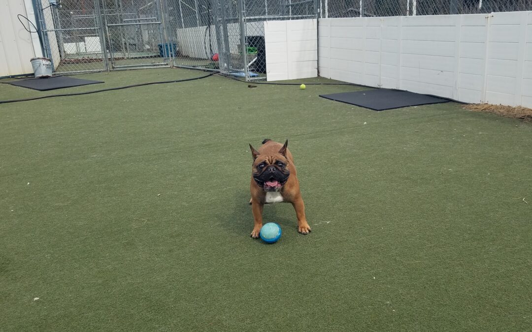 3.13.26 Playtime! :)