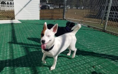 3-14-26 Playtime! :)