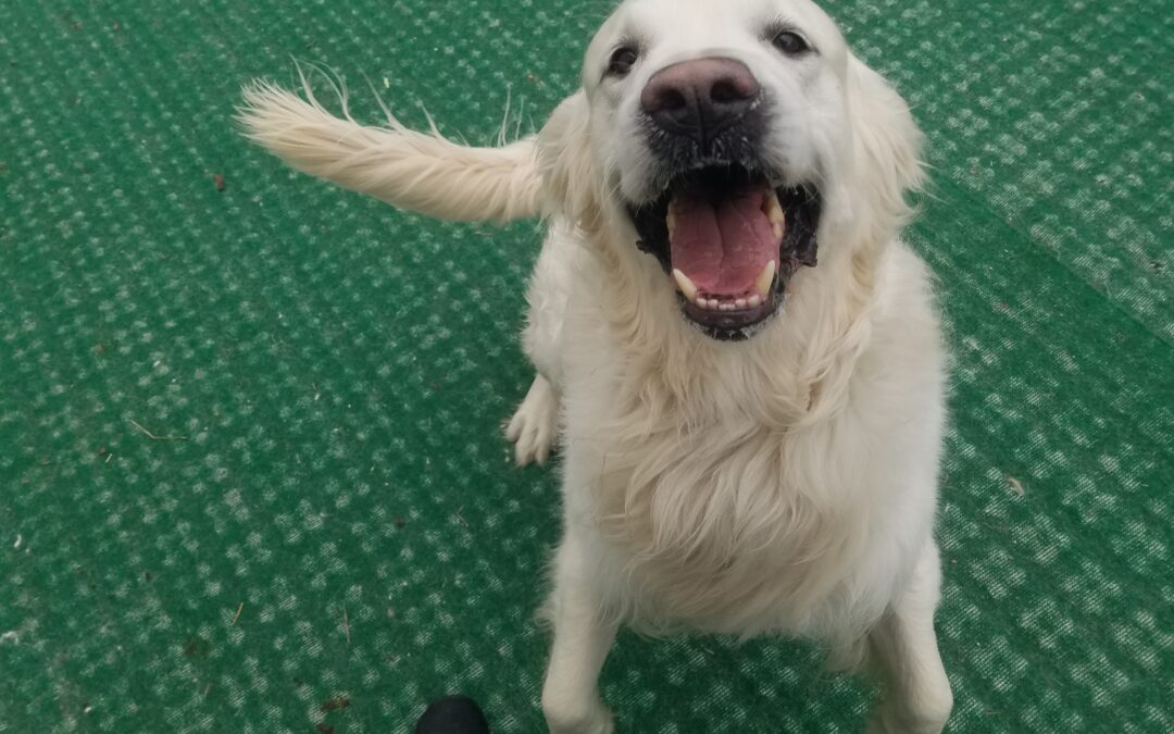 3/15/2026 Playtime!!