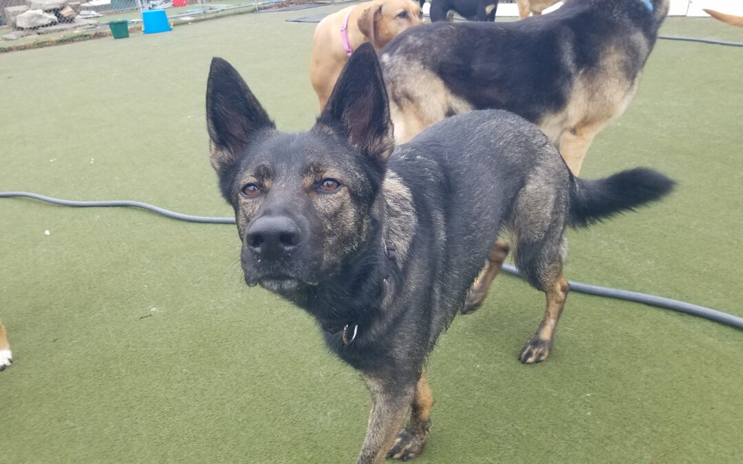 3/16/26 Playtime! :)