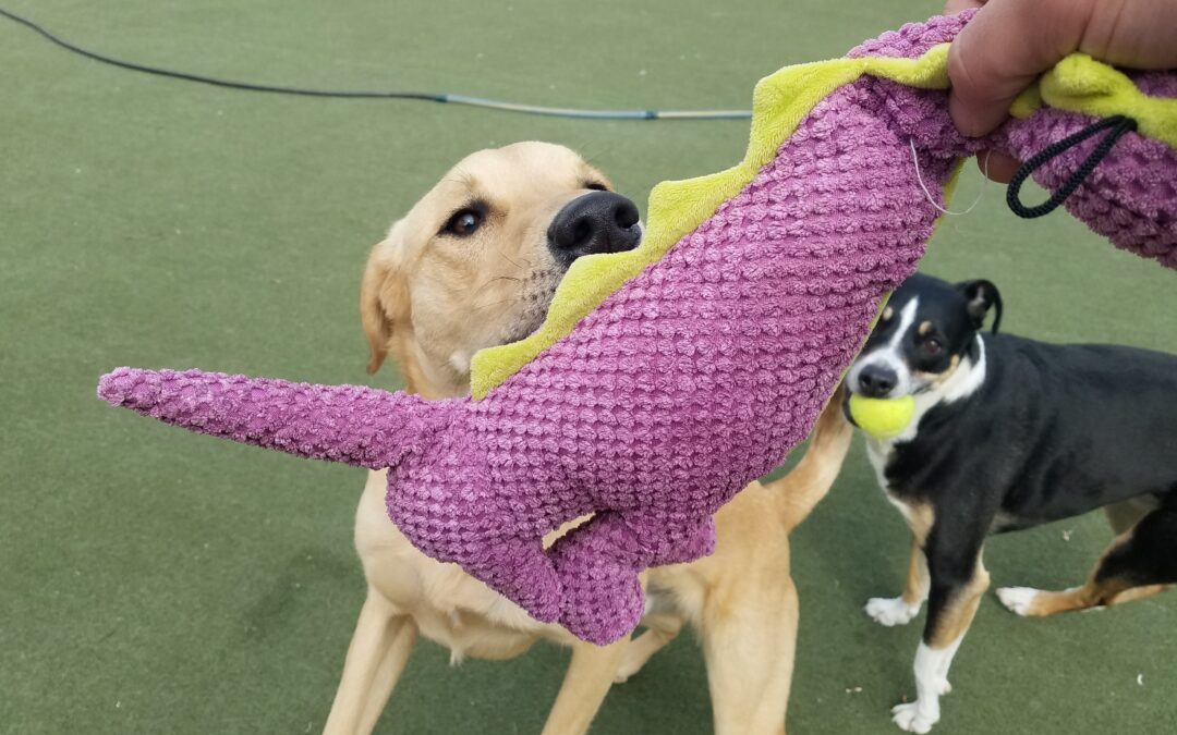 Playtme March 18, 2026