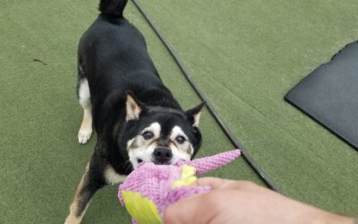 3-19-26 Playtime :)