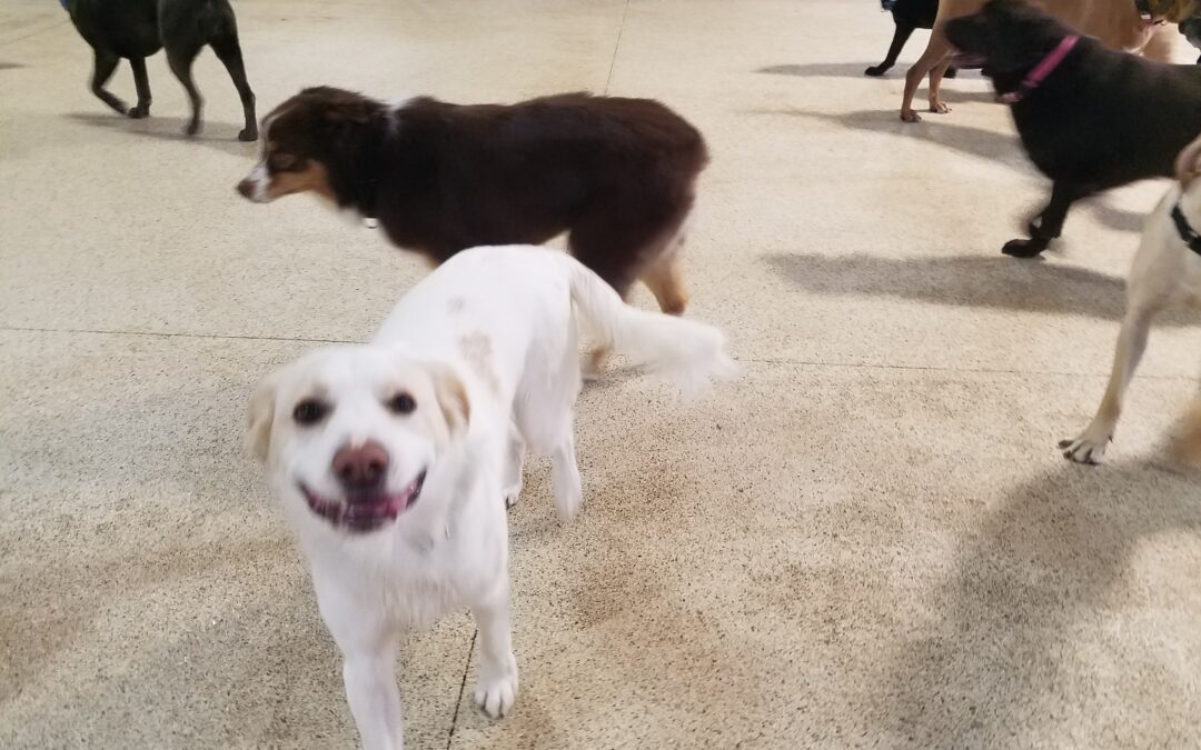 03/20/2026 Playtime! :)