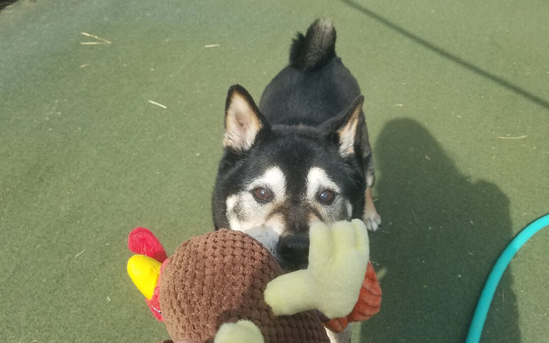 3/22/2026 Playtime!!