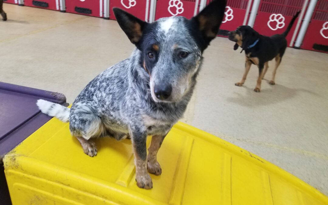 3/24/26 Playtime! :)