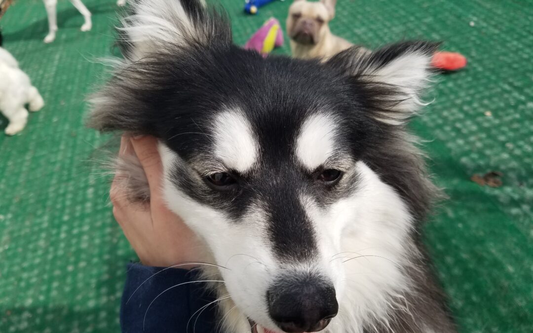 3/25/26 Playtime! :)