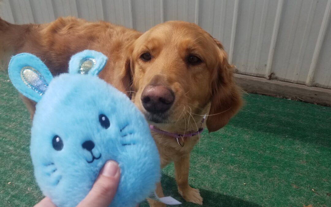 3/25/26 Activities! :)