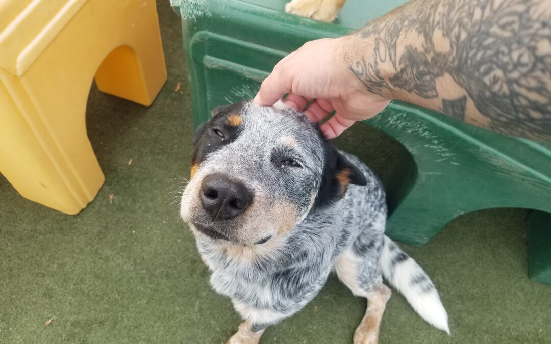 3/26/2026 Playtime! :)