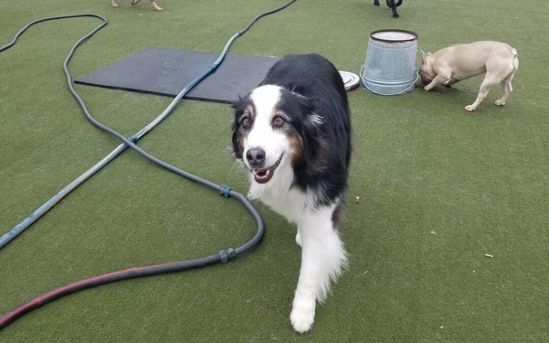 3/27/26 Playtime! :)