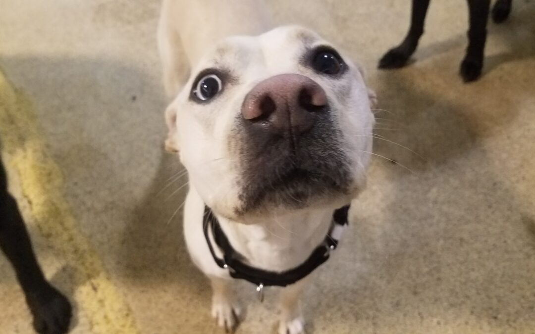 3/29/2026 Playtime!!