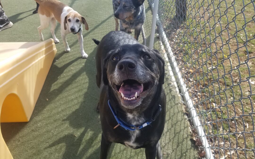 3-30-26 Playtime! :)