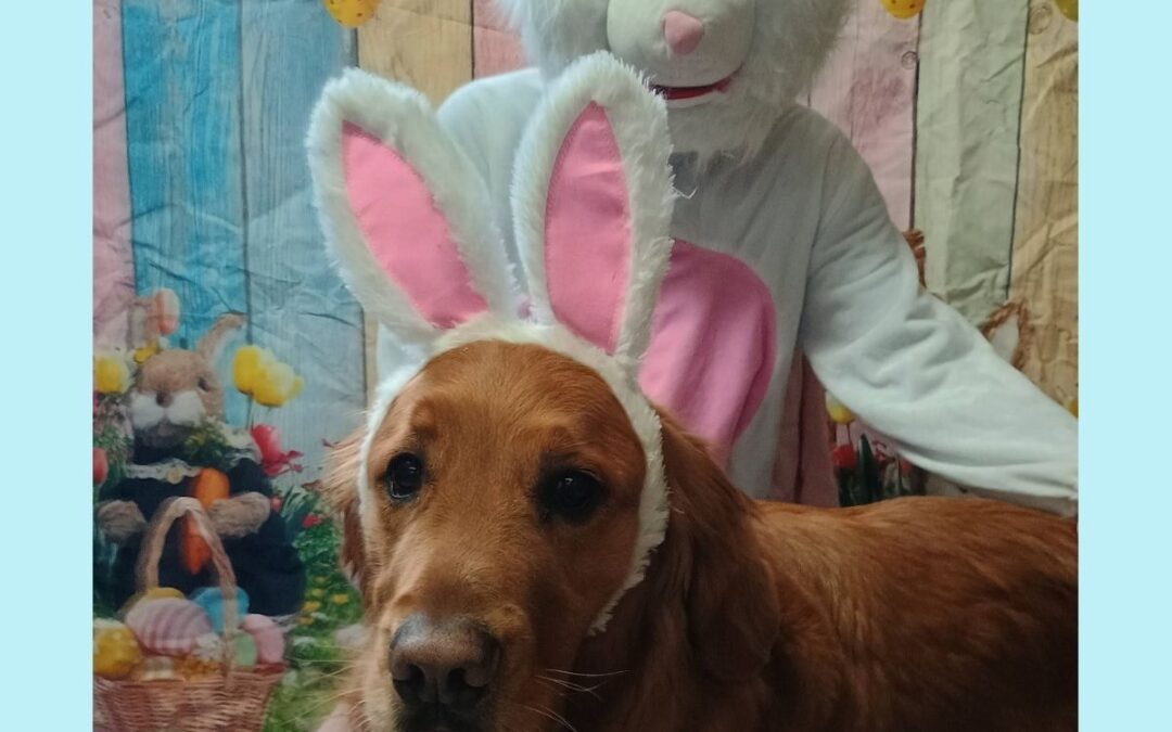 Easter Bunny Visits the Farm 2026