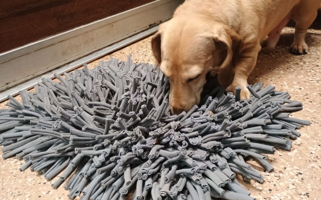 3/2/26 Snufflemat, Which hand, Bubbles and Balls ! :)