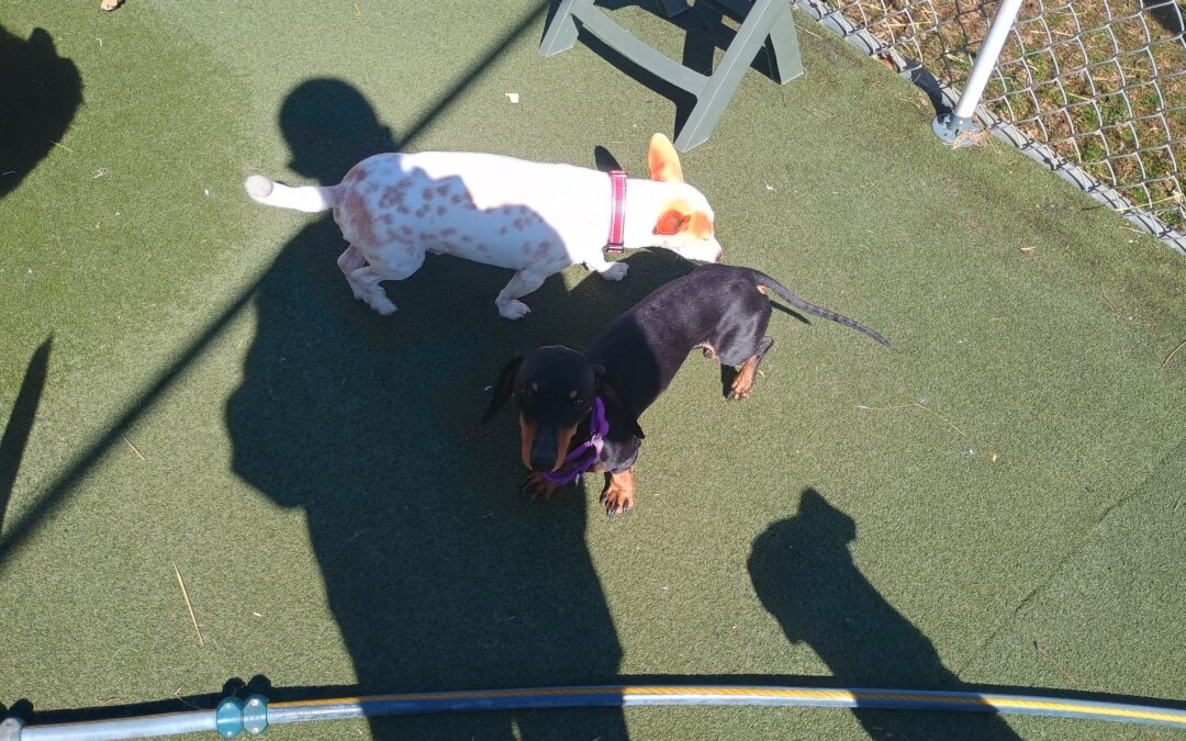 3-14-26 Pi Day Activities! :)