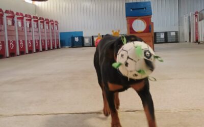 Enrichment Fun on the Farm 3_18_26