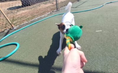 3-20-26 Giant Ball Roll, Megalast Bone, + Spin the Bottle! :)