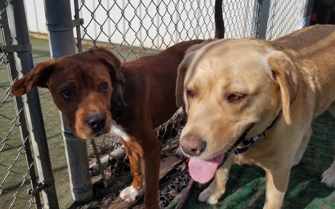 4/4/2026 Playtime!! :)