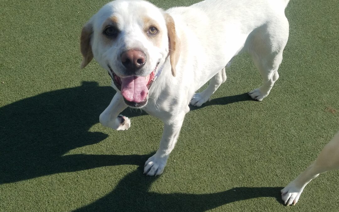 4-10-26 Playtime! :)