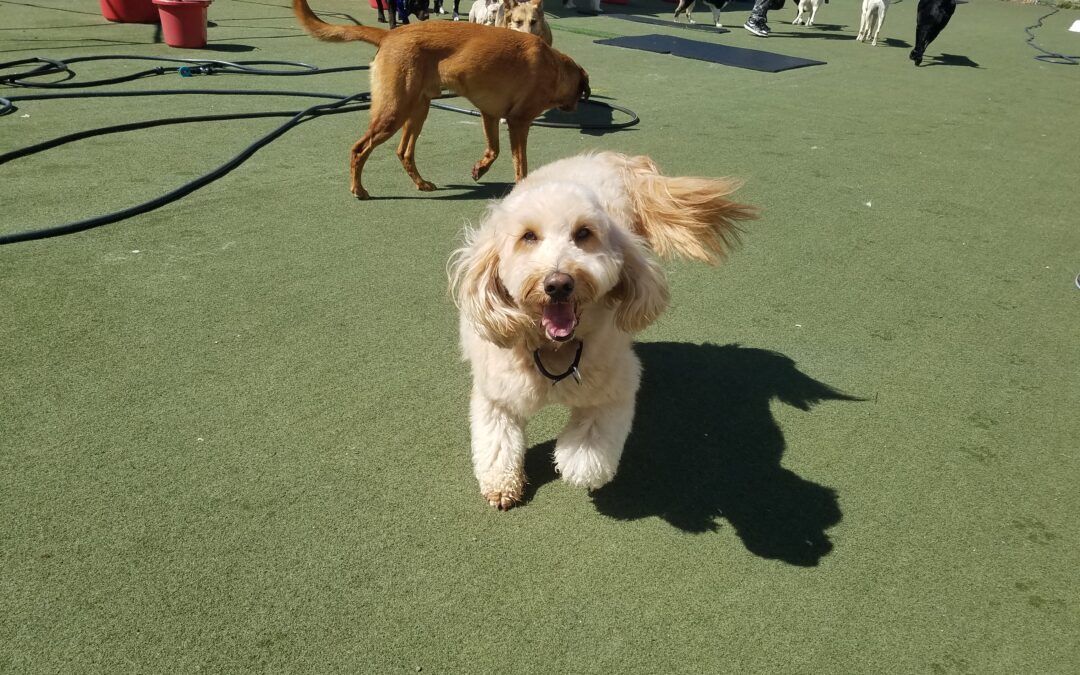 4-11-26 Playtime! :)