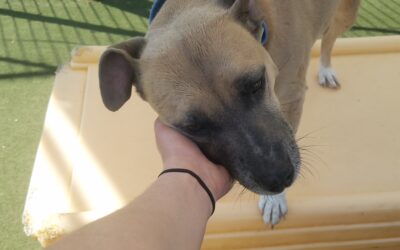 4/14/2026 Playtime!!