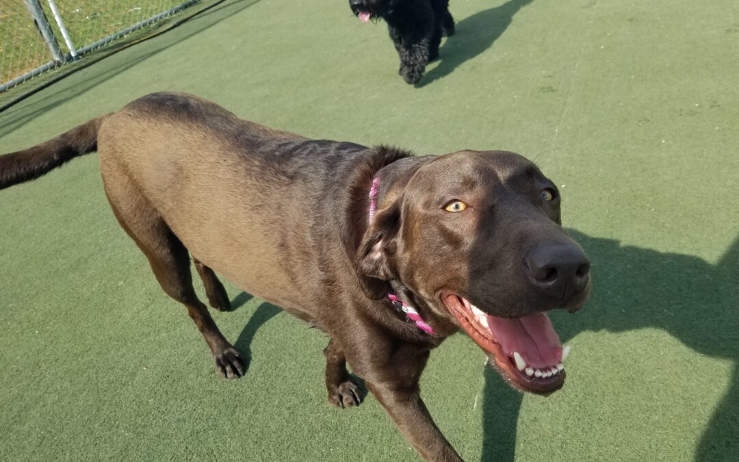 4/16/26 Playtime! :)