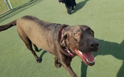 4/16/26 Playtime! :)