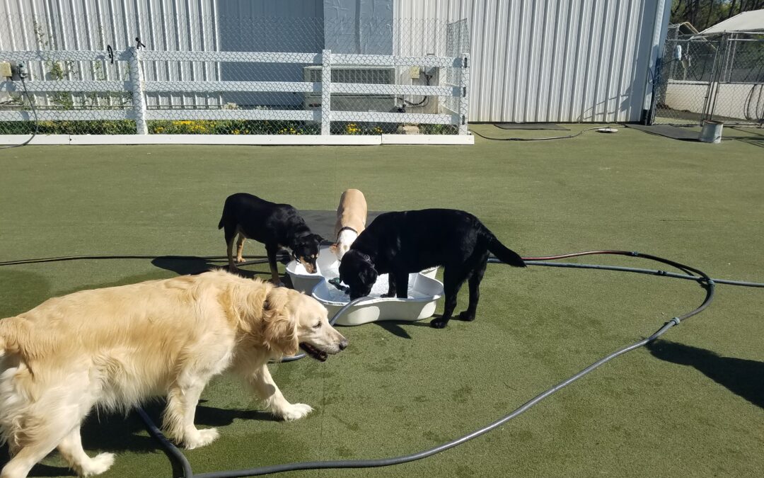 4/17/2026 Playtime! :)