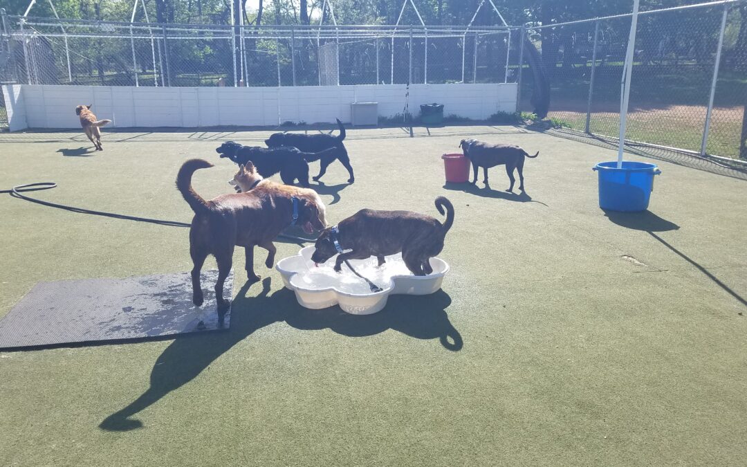 4-18-26 Playtime! :)