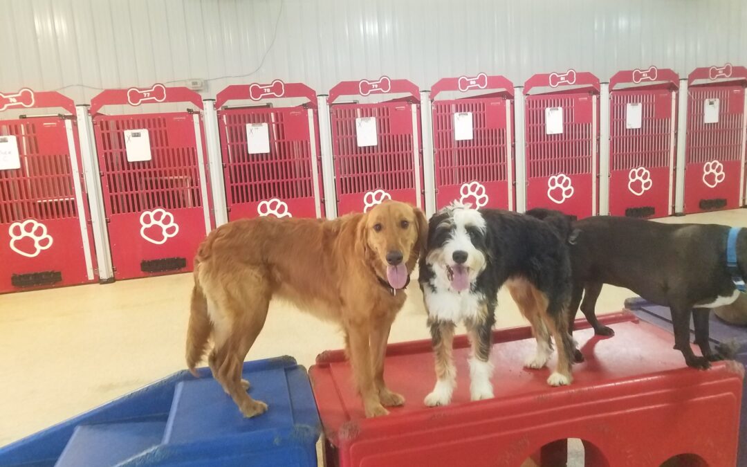 4/19/2026 Playtime Pics!