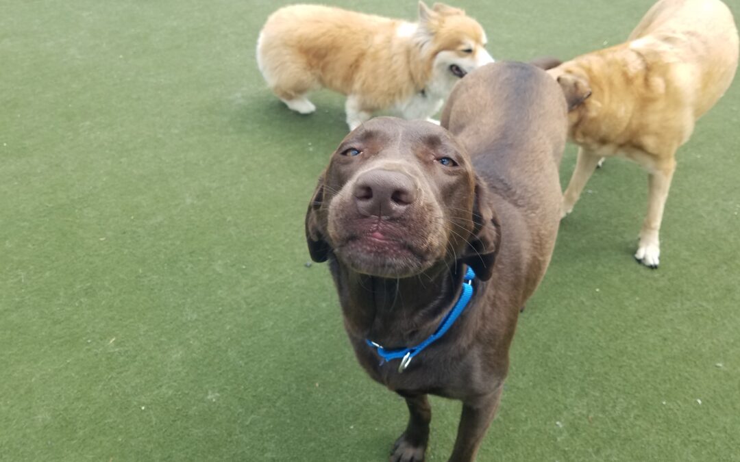 4/20/2026 Playtime! :)