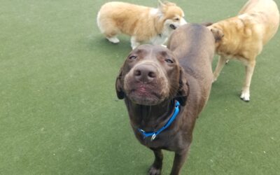 4/20/2026 Playtime! :)