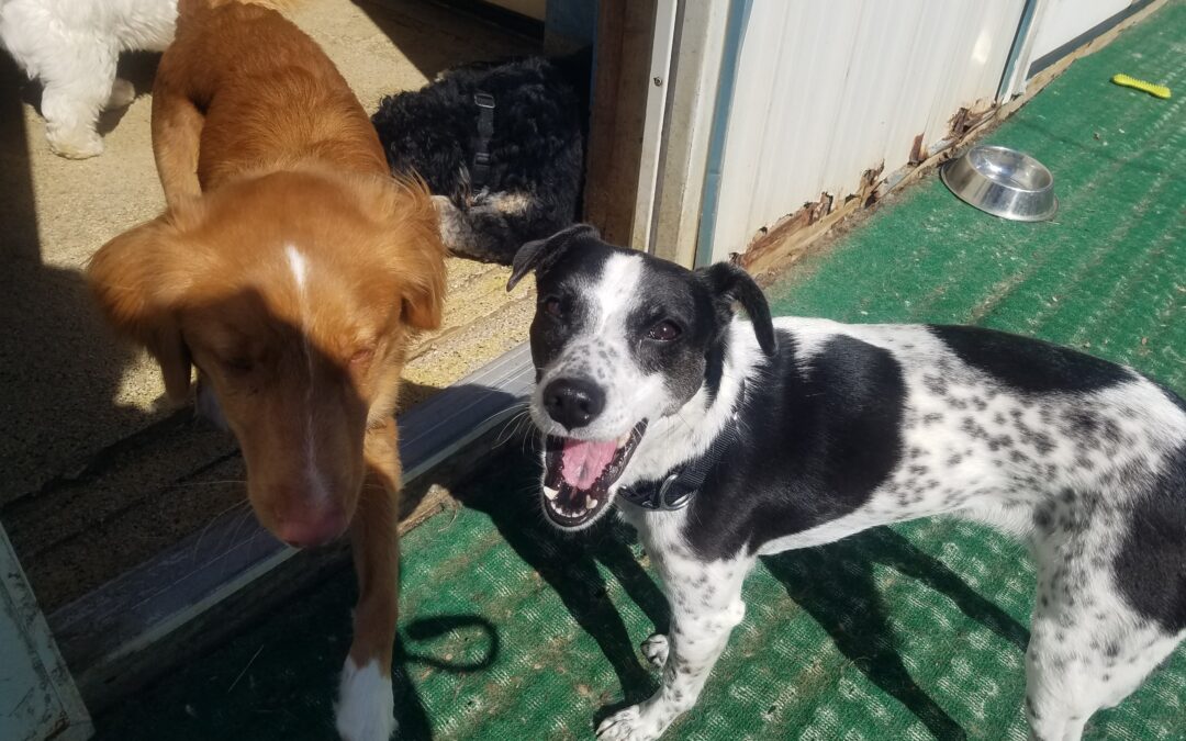 4/21/26 Playtime! :)