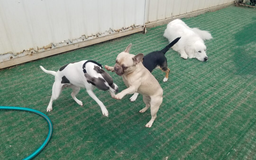 4/22/26 Playtime! :)