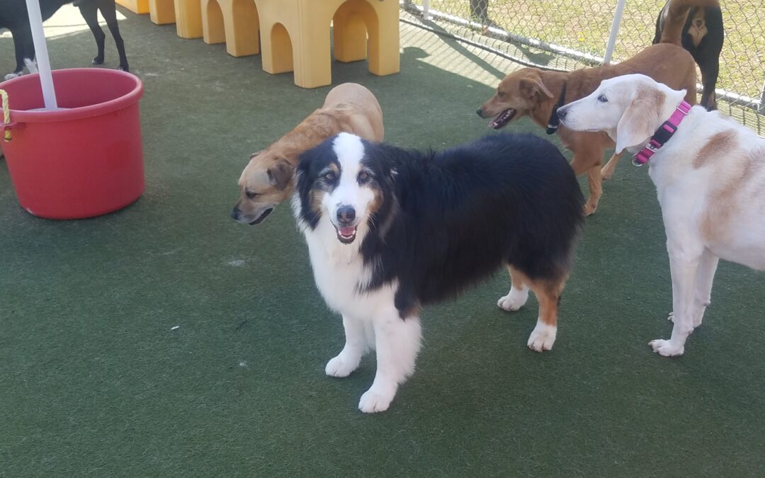 4-23-26 Playtime! :)