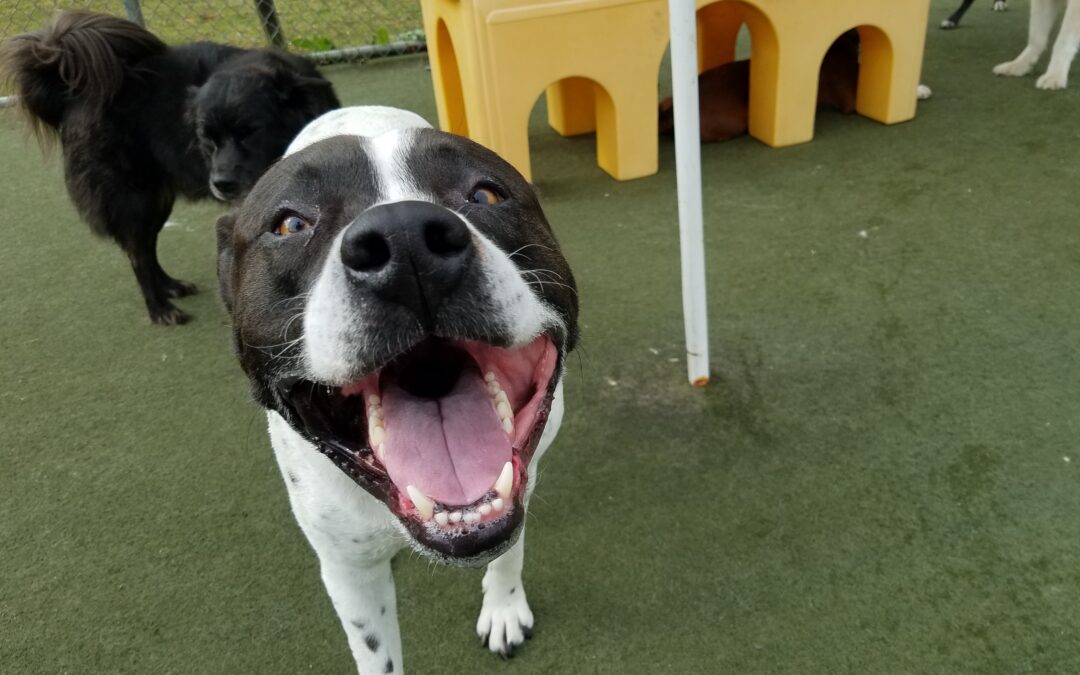 4-24-26 Playtime! :)