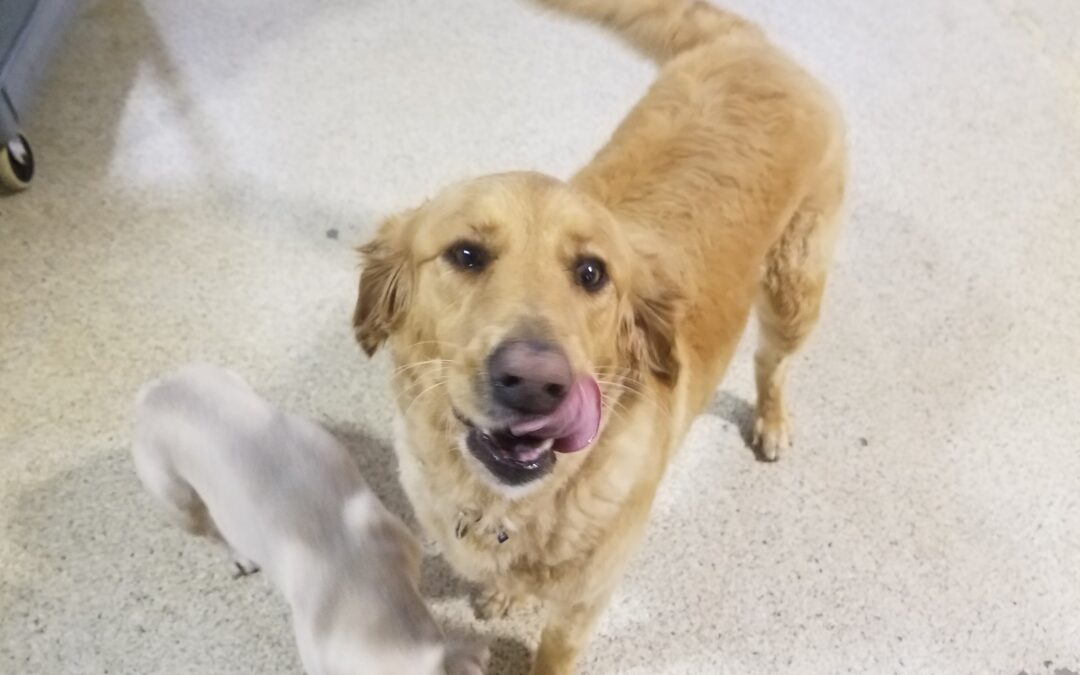 4/25/2026 Playtime Pics!!