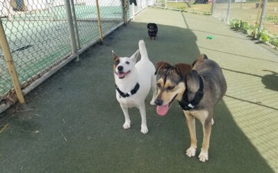 4/29/26 Playtime! :)