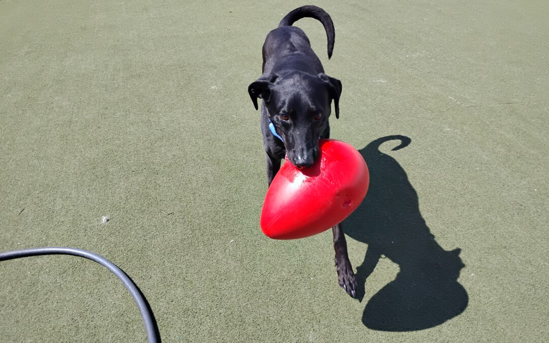 4-1-26 Jolly egg play :)