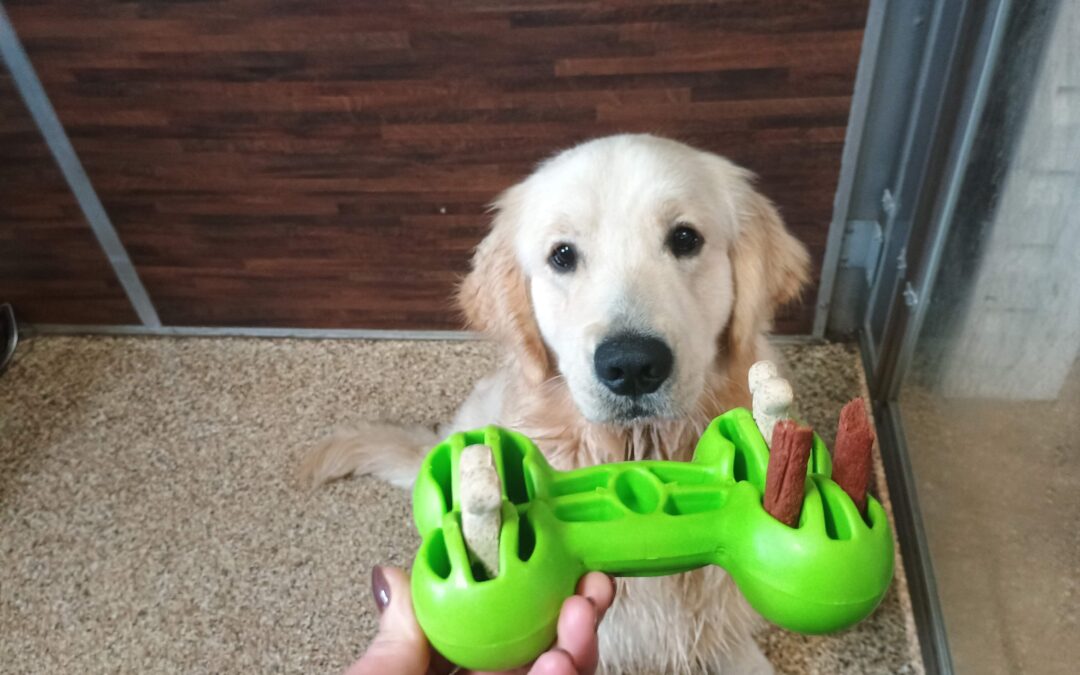 4/4/2026 Indestructiball, Megalast Bone, and Easter Egg Hunt!!  :)