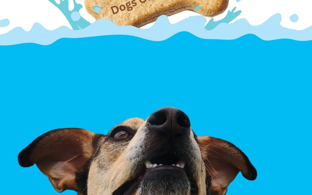 Under The Sea Day – Paws!