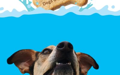 Under The Sea Day – Paws!