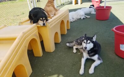 5/4/26 Playtime! :)